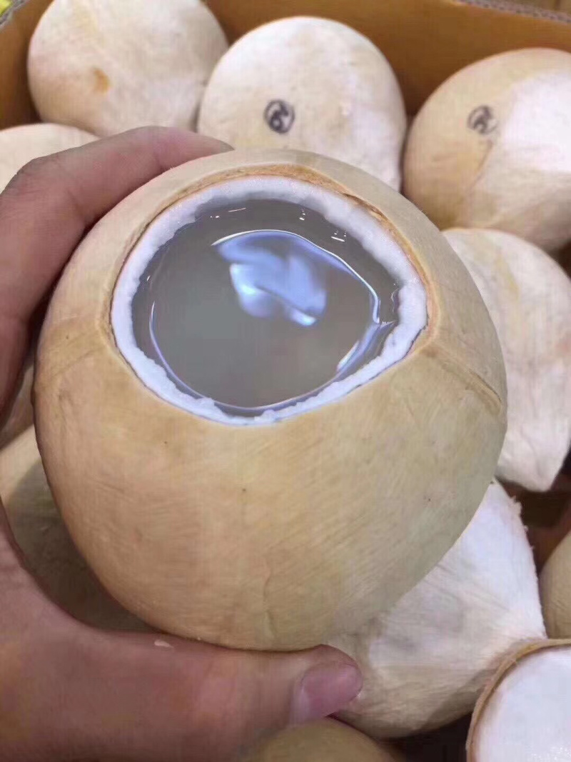 泰国椰皇整柜到货