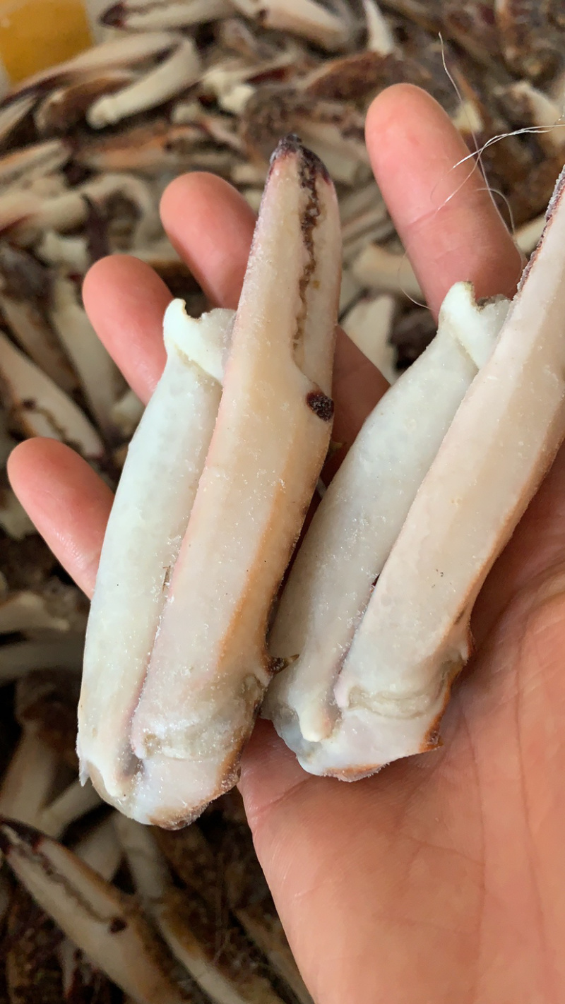 价格实惠的大蟹钳，蟹脚