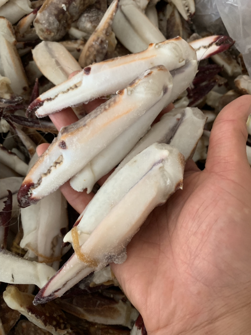 价格实惠的大蟹钳，蟹脚