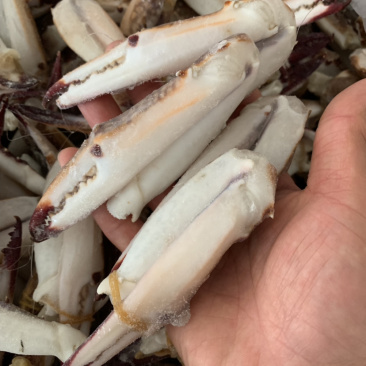 价格实惠的大蟹钳，蟹脚