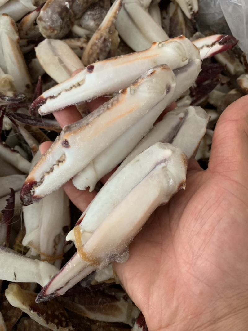 价格实惠的大蟹钳，蟹脚