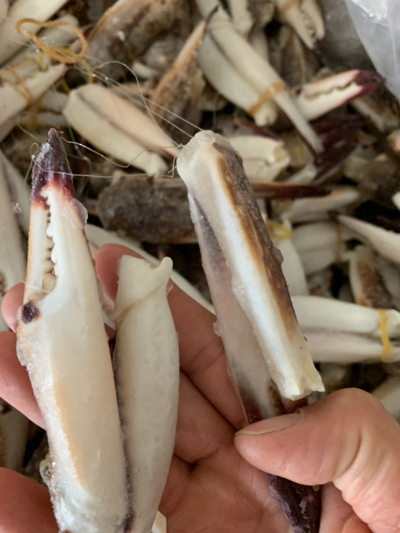 价格实惠的大蟹钳，蟹脚
