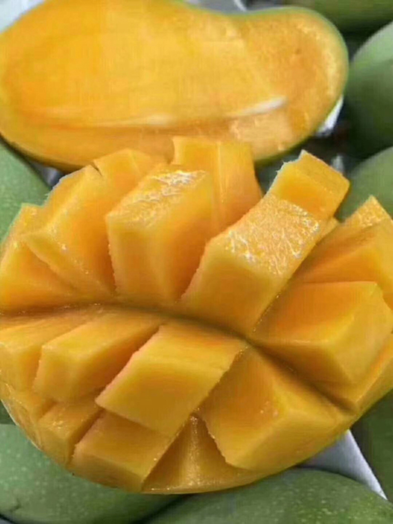 产地直销批发芒果🥭