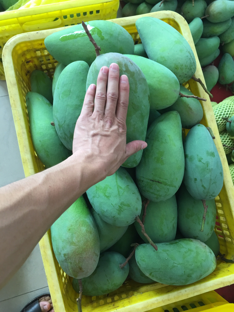 产地直销批发芒果🥭