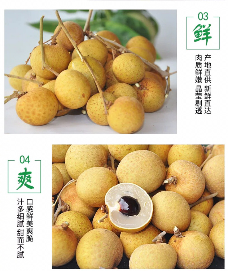 福建新鲜龙眼新鲜水果带箱5斤批发包邮新鲜桂圆当季时令
