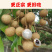 福建新鲜龙眼新鲜水果带箱5斤批发包邮新鲜桂圆当季时令