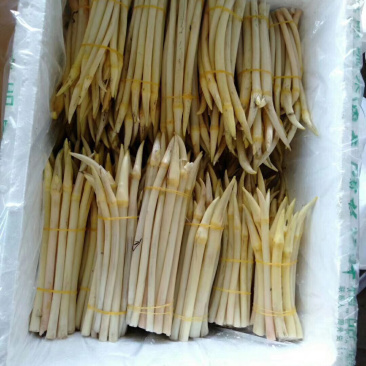 998湖北监利绿色藕尖