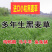 【聚便宜】黑麦草种子多年生黑麦草种子牧草型