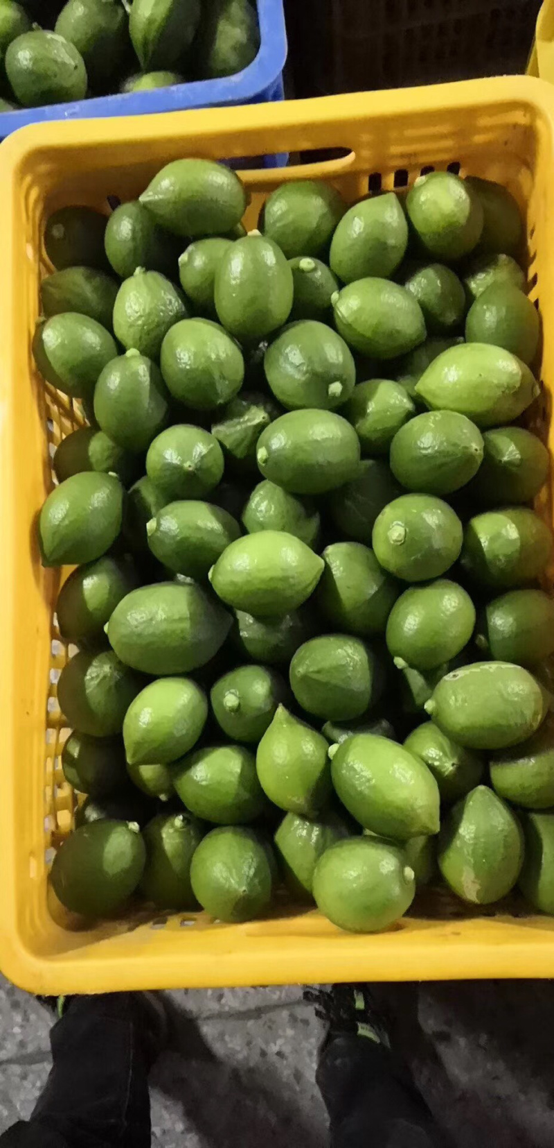 香水柠檬，青柠檬