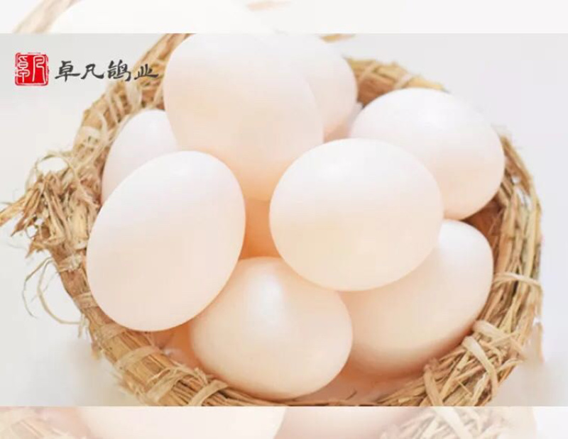 鸽子蛋