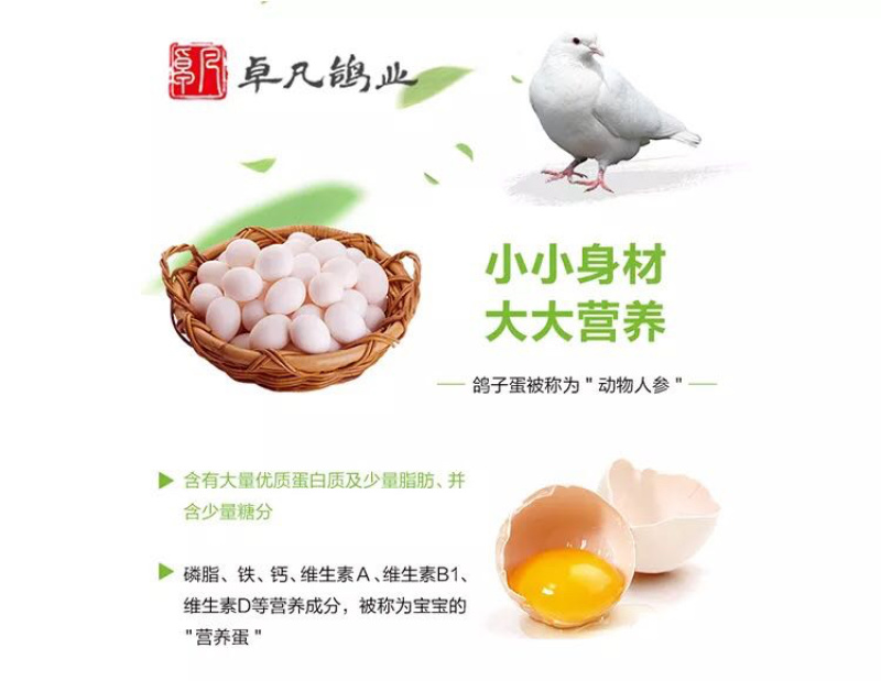 鸽子蛋