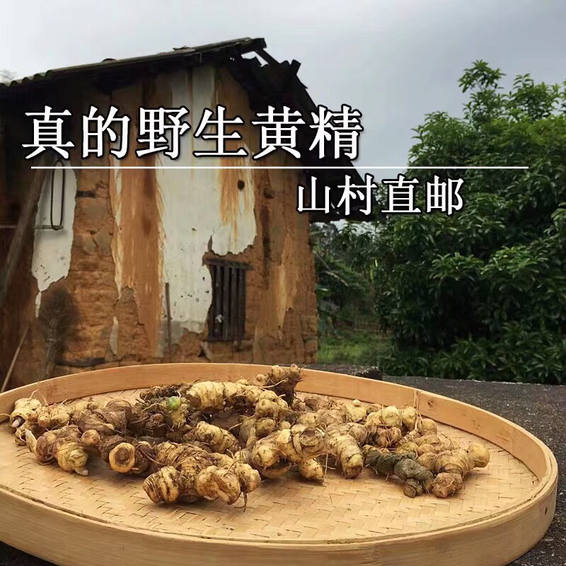 野生黄精广西大瑶山正品九蒸九晒黄精三蒸三晒新鲜黄精