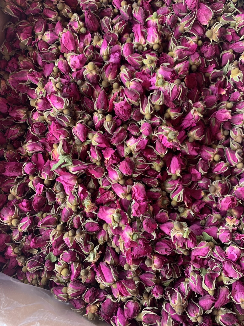 山东大玫瑰花，产地直销