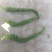 螺丝椒15-20厘米
