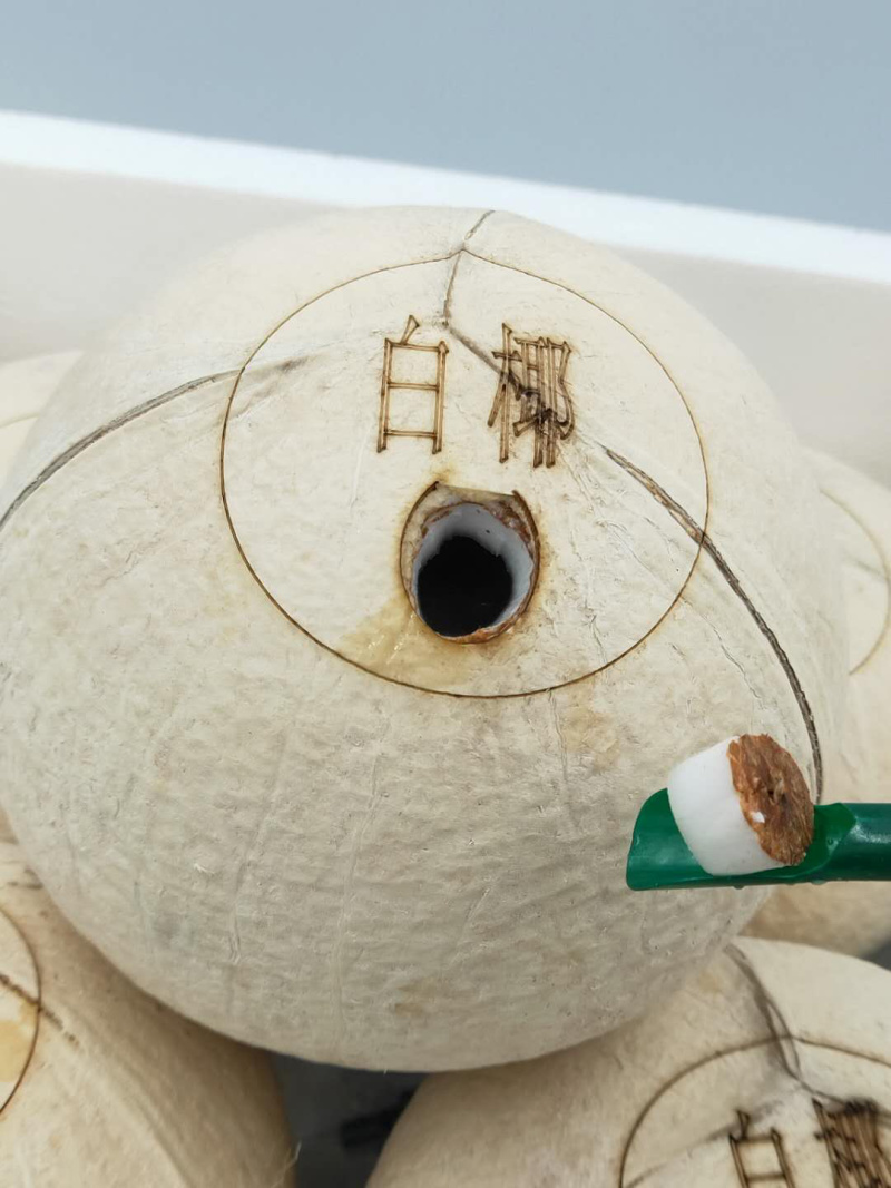 一件代发易拉环白椰海南椰子易拉罐椰子6个装