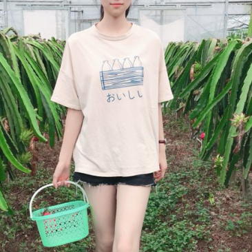 红心火龙果