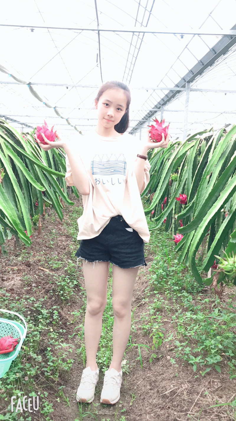 红心火龙果