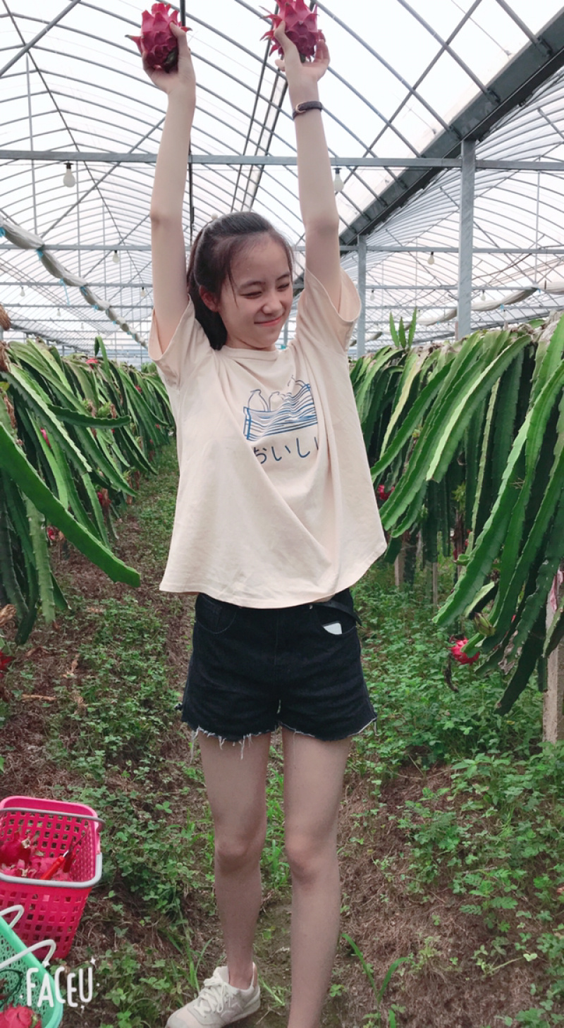 红心火龙果