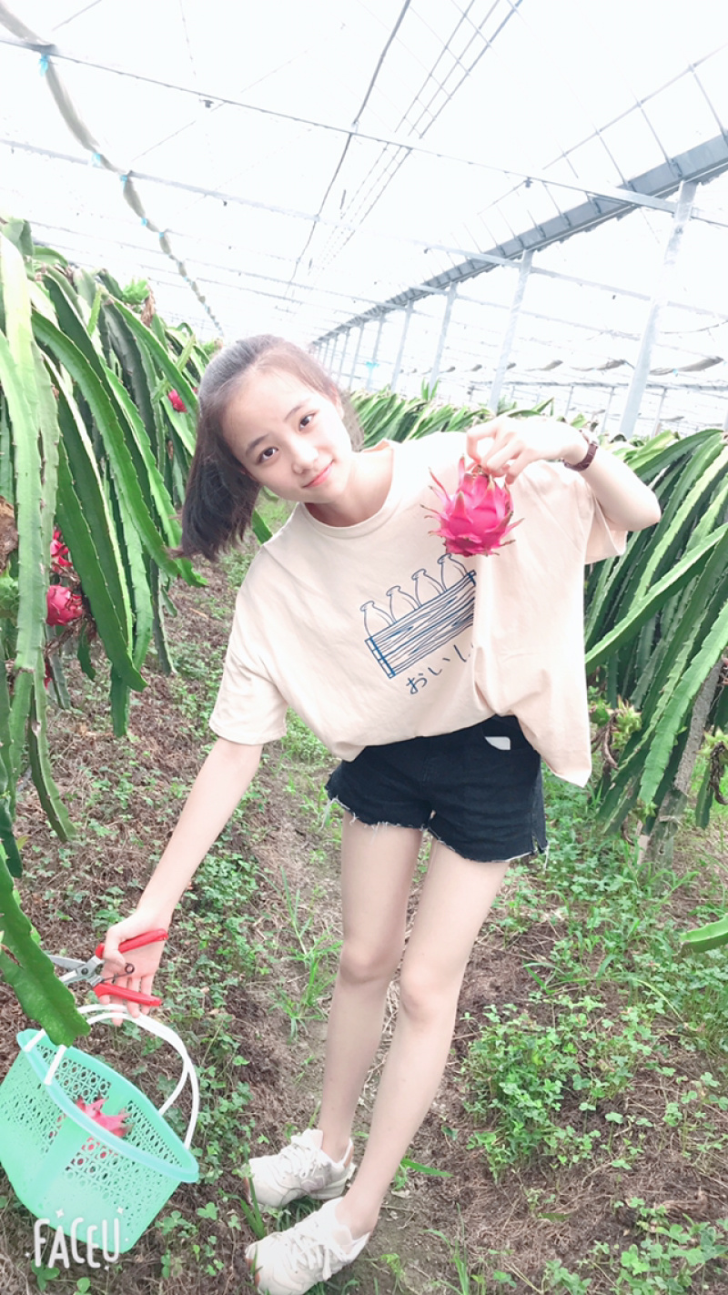 红心火龙果