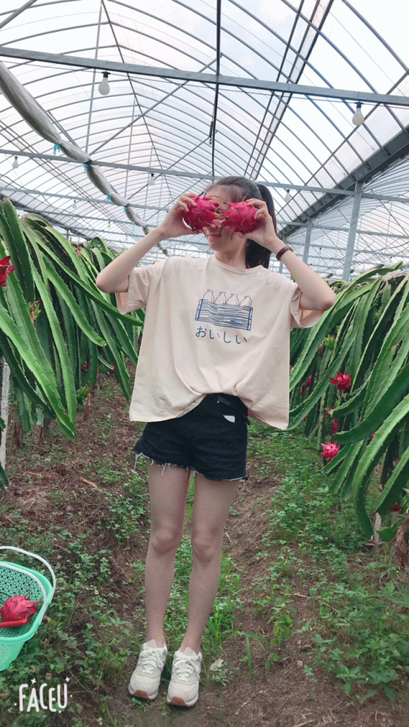 红心火龙果