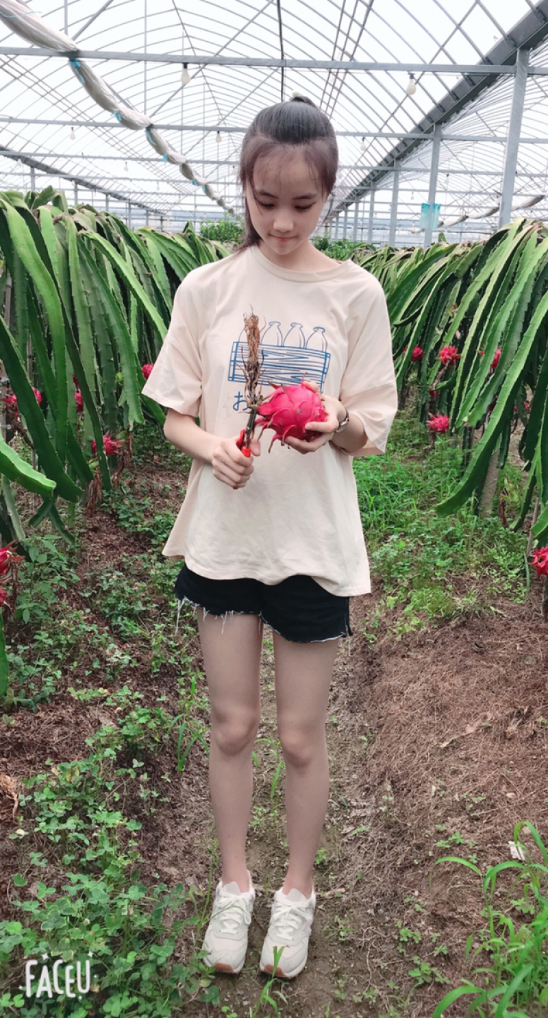 红心火龙果