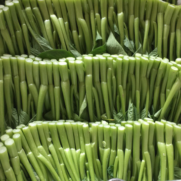菜心
