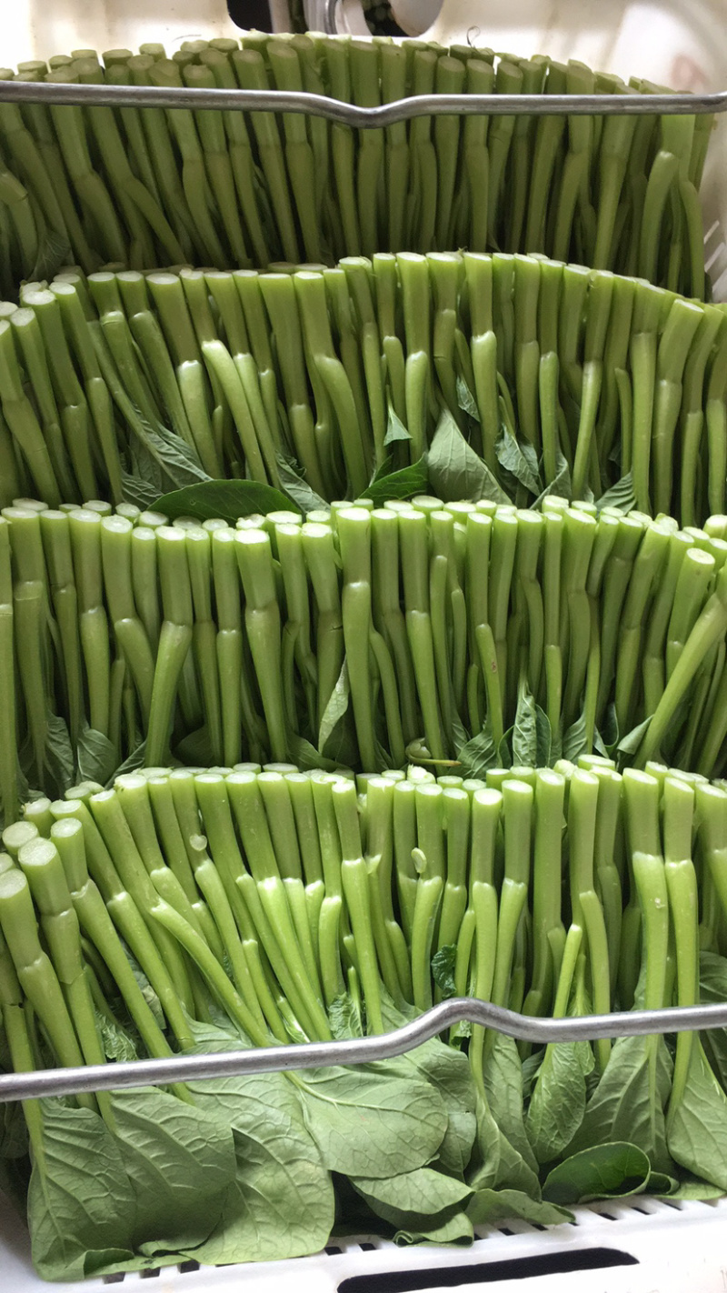 菜心