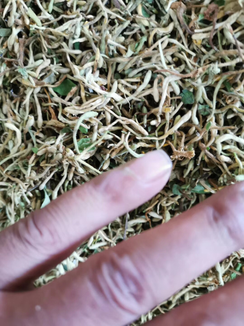 金银花