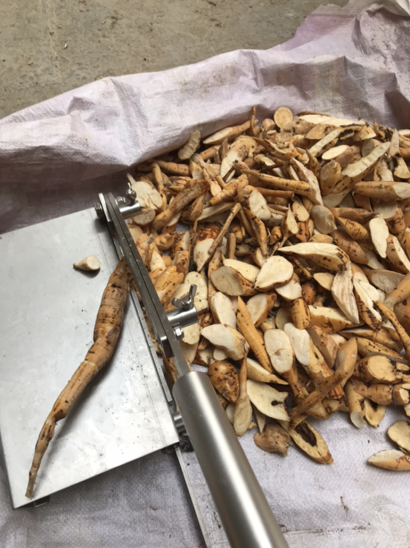 广西马山县野生黑皮牛大力
