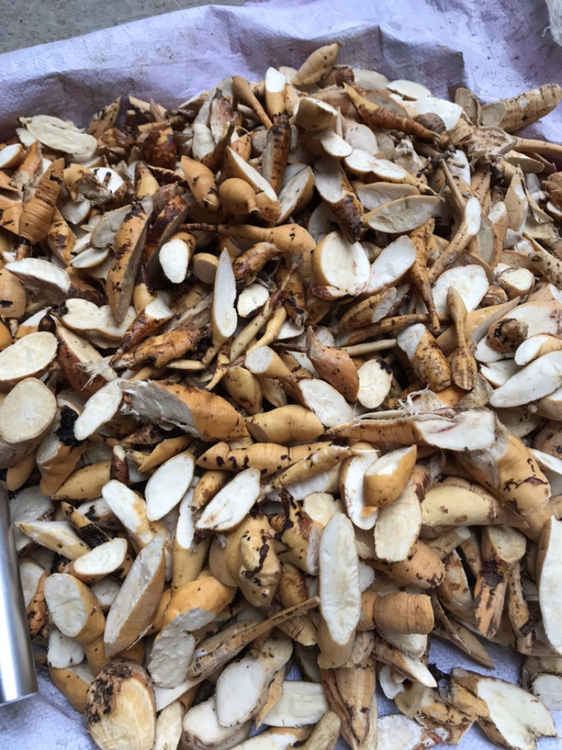 广西马山县野生黑皮牛大力