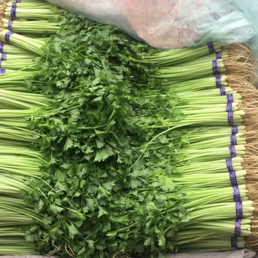 香芹