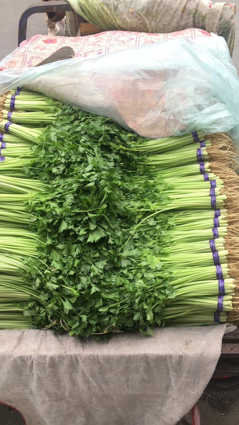 香芹