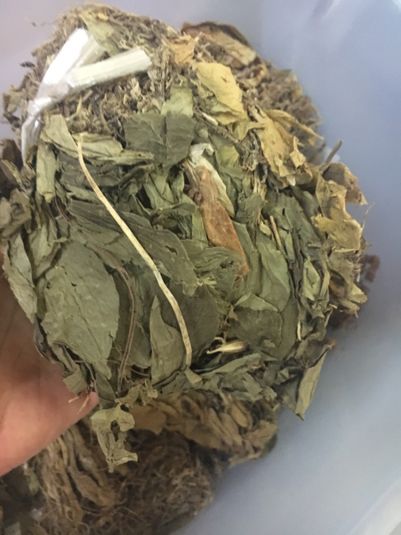见血清