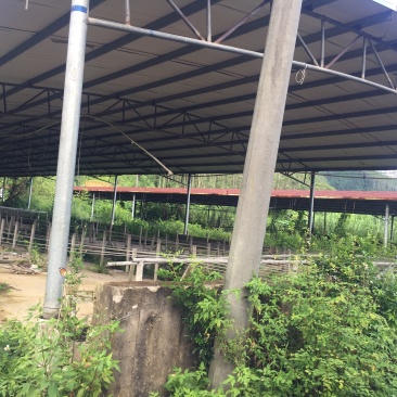 鱼塘25亩，地20亩转让。养殖基地。养什么都可以