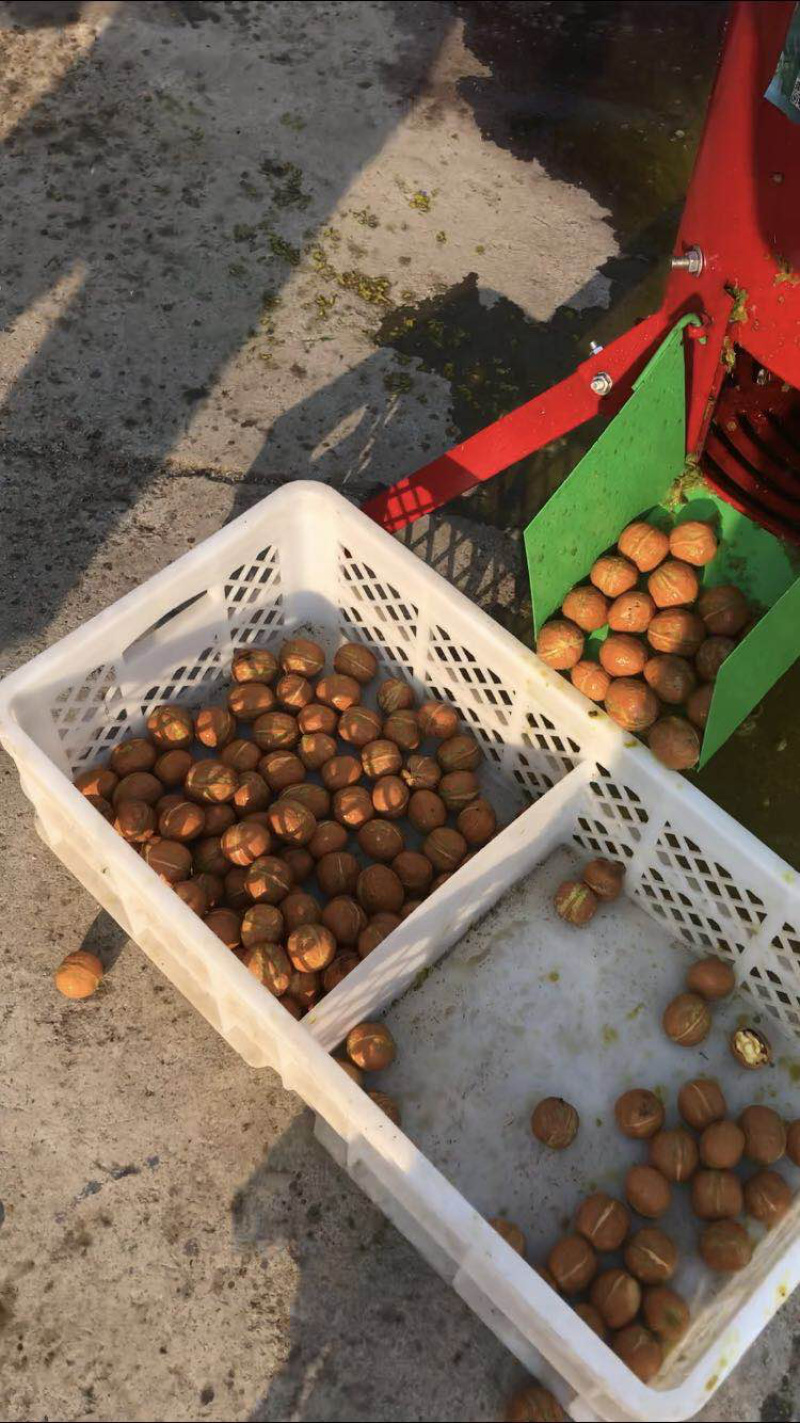 核桃脱皮机