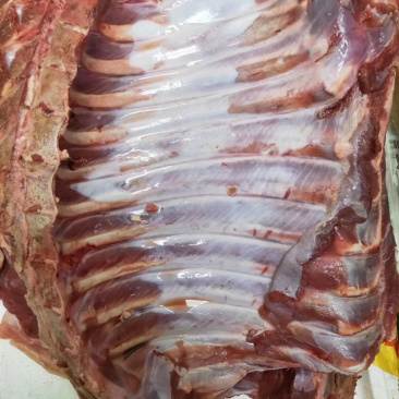 深圳野猪肉排特种野猪可送货