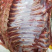 深圳野猪肉排特种野猪可送货