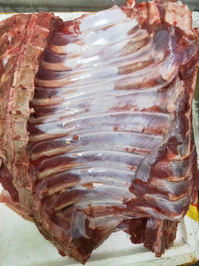 深圳野猪肉排特种野猪可送货