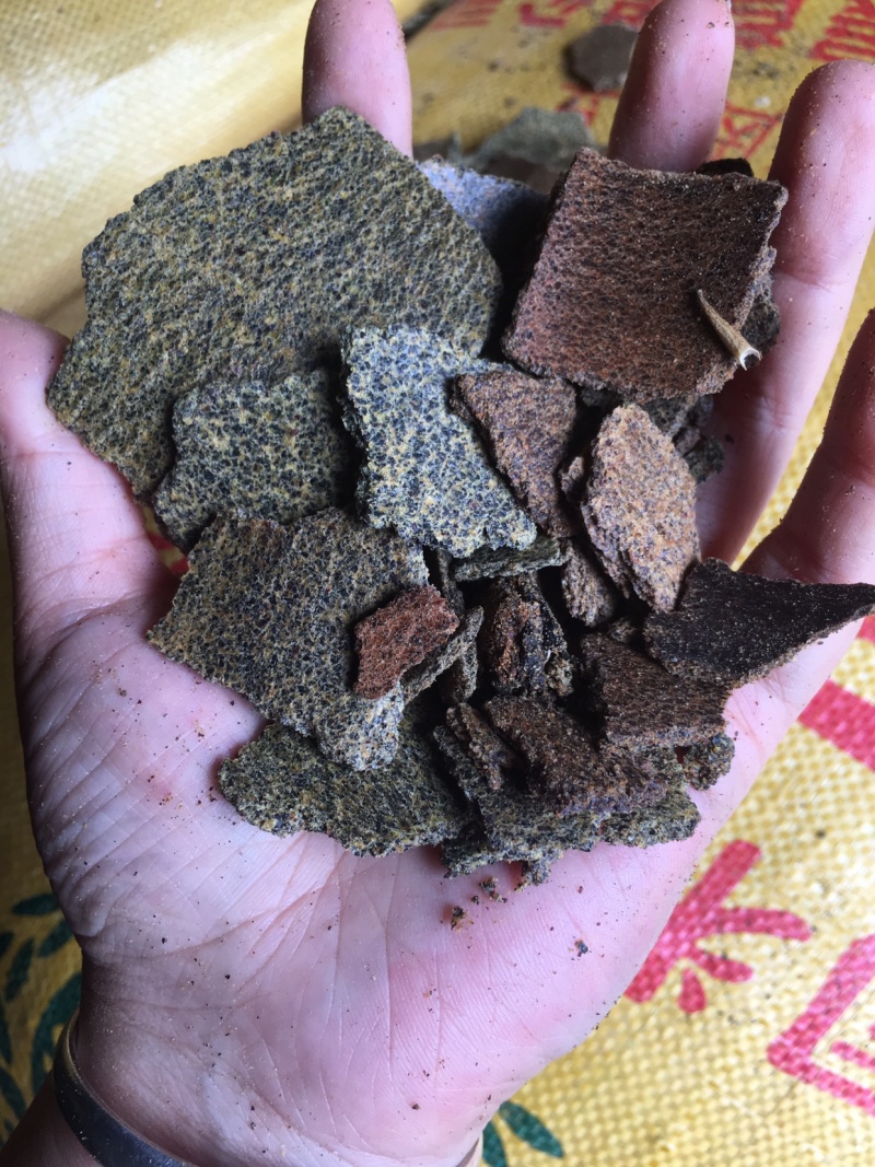 中温压榨青黄菜籽饼香味浓郁