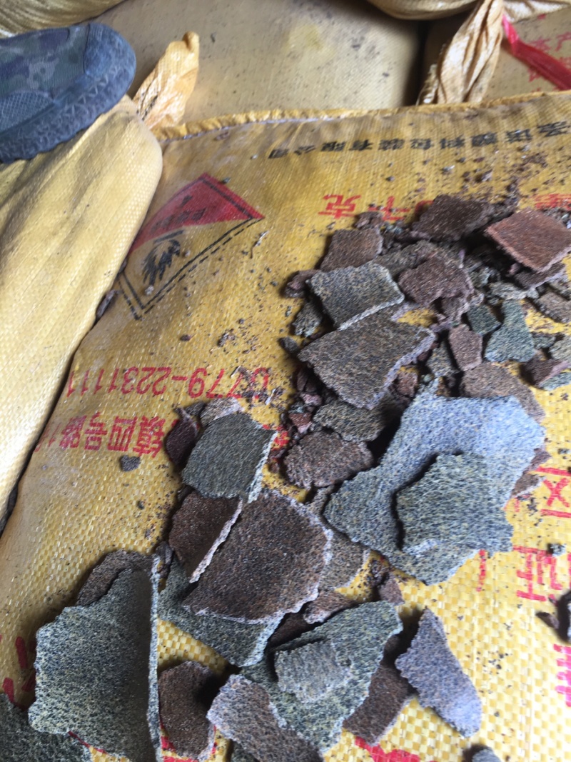 中温压榨青黄菜籽饼香味浓郁