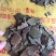 中温压榨青黄菜籽饼香味浓郁