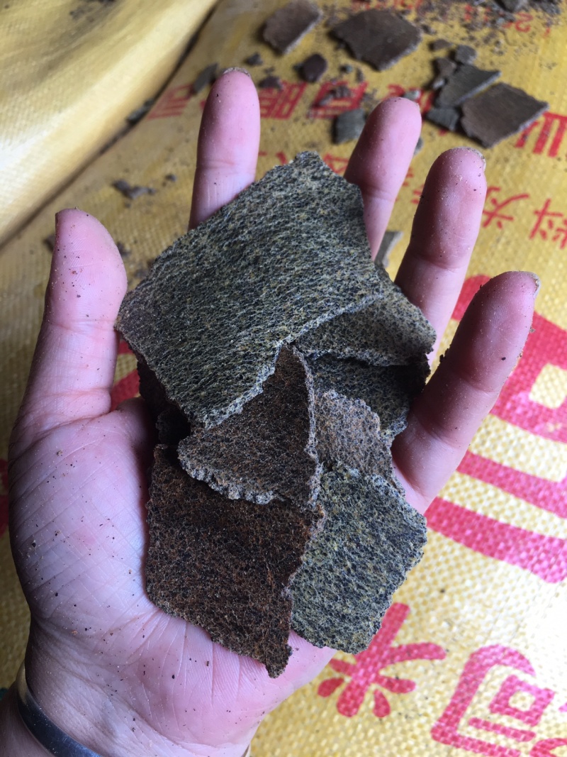 中温压榨青黄菜籽饼香味浓郁