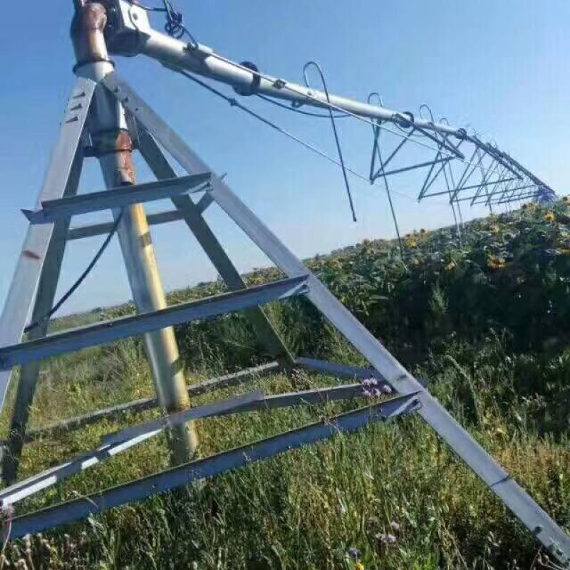 本社长年提供全国各基地质优价廉的蔬菜