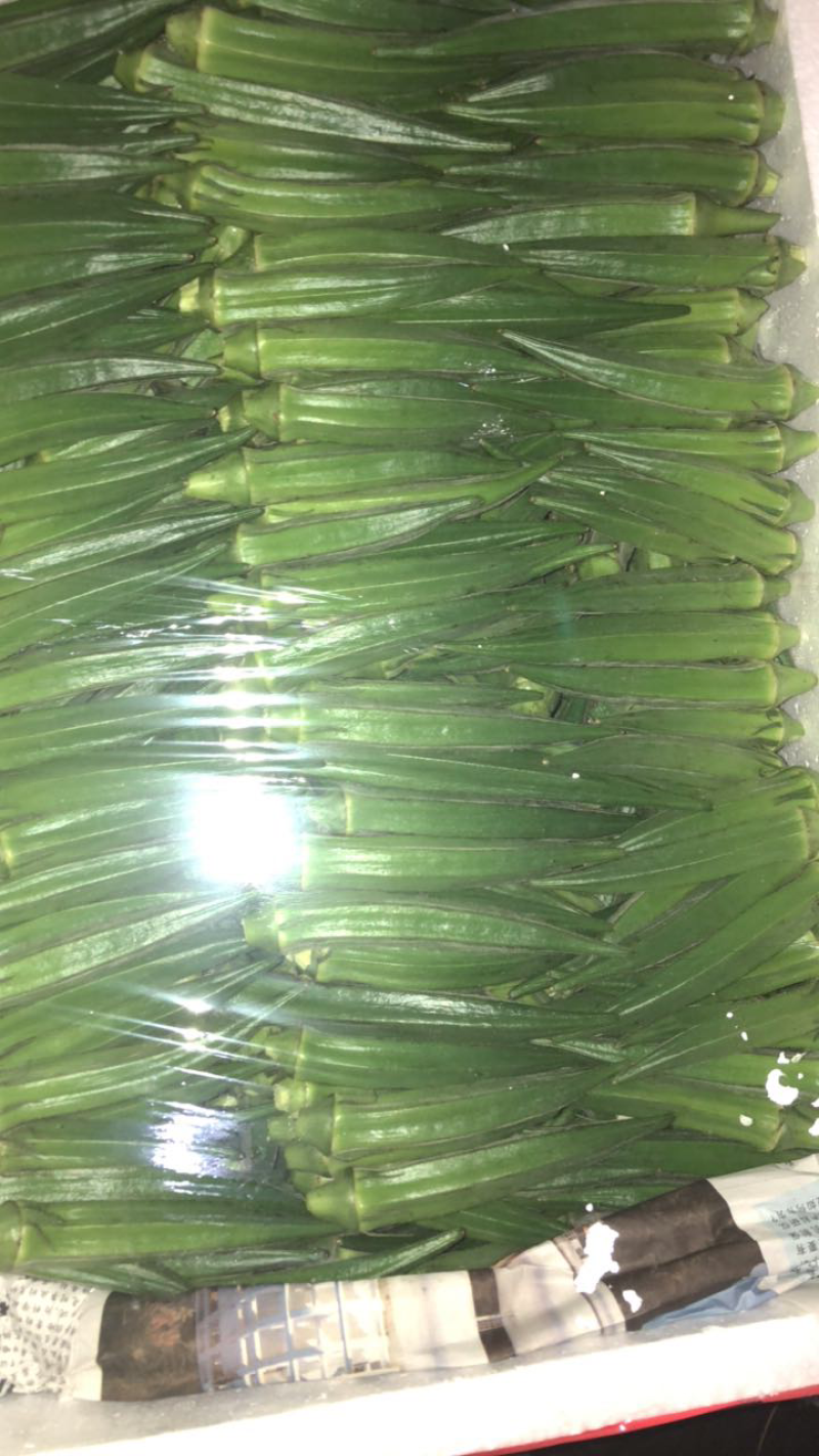 杭州市专业代卖精品黄秋葵，条子直，颜色翠绿，细小嫩绿