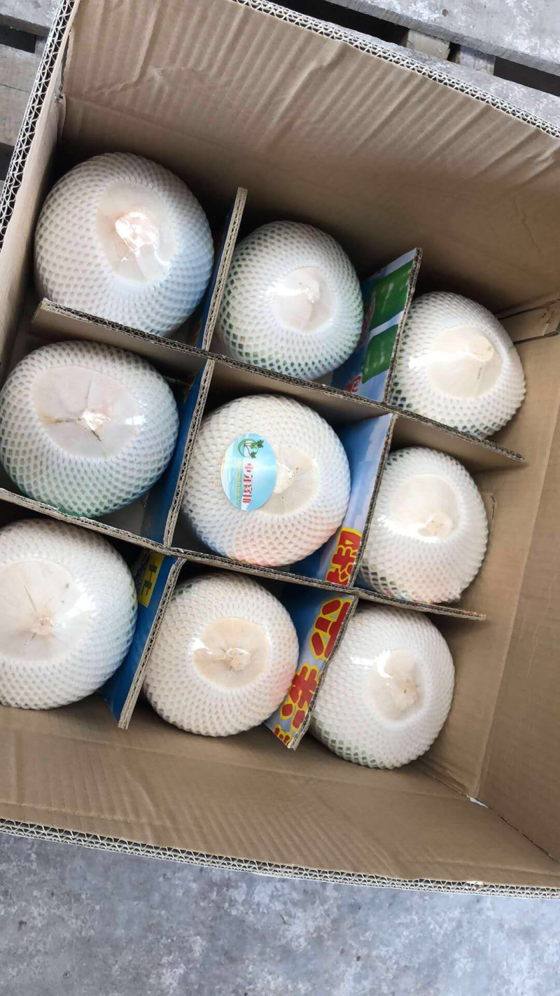 海南椰青9个装支持微商一件代发