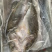 开背海鲈鱼