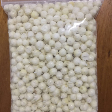 鲜苏芡鸡头米自己家种植，无差价