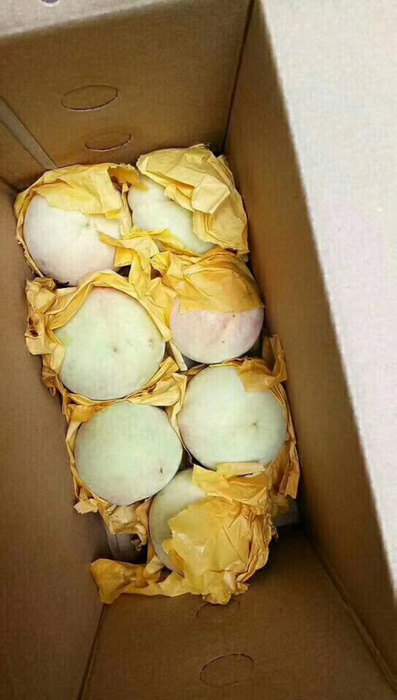 正宗奉化水蜜桃琼浆玉露水蜜桃