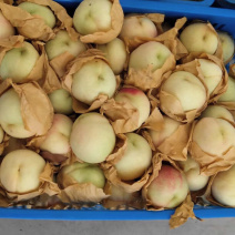 正宗奉化水蜜桃琼浆玉露水蜜桃