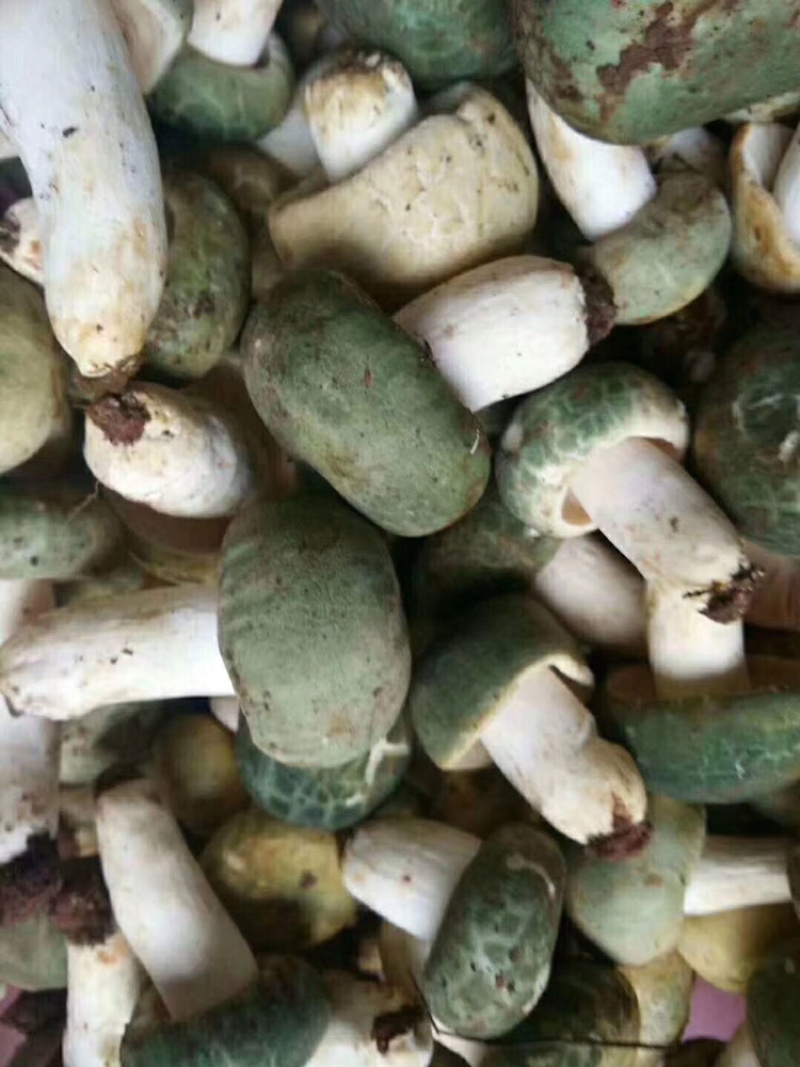 各种野生菌